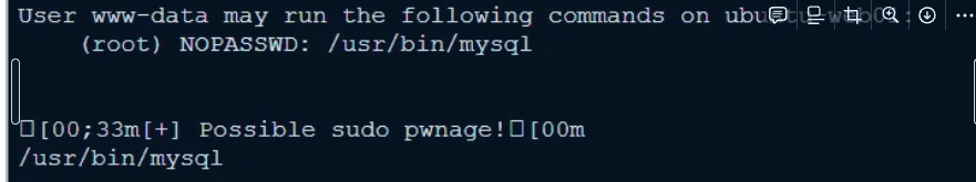 image-20250715161843543